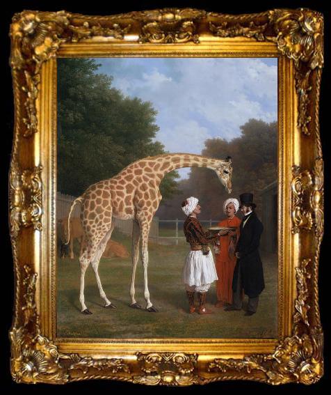 framed  Jacques-Laurent Agasse The Nuian Giraffe (mk25), ta009-2